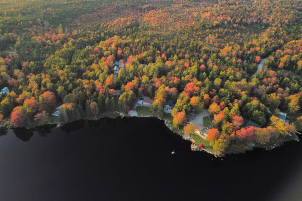 Sherwoodforest_shoredrone