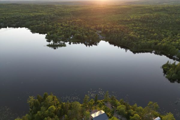 Sherwoodforest_shoredroneRobertjpg