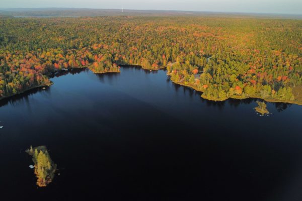 Sherwoodforest_shoredroneendoflake